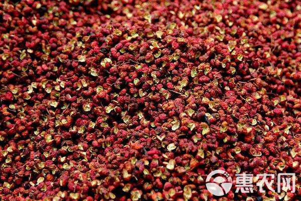 花椒市场最新价格动态解析报告