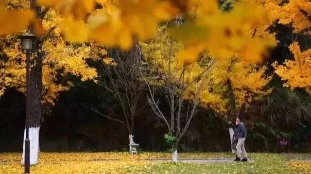2025年2月3日 第6页