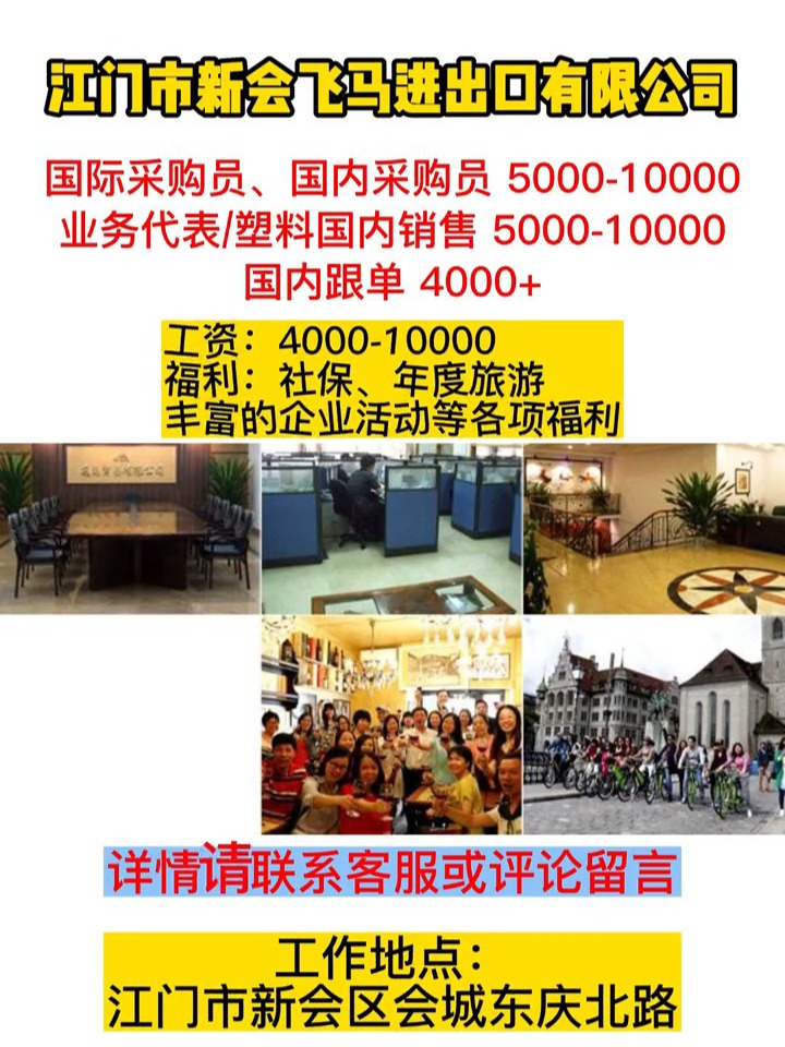 新会招聘网最新招聘动态深度解析与解读