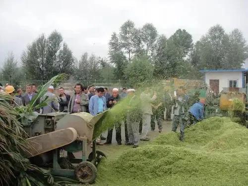 最新小型加工厂项目，探索与机遇的挑战之路