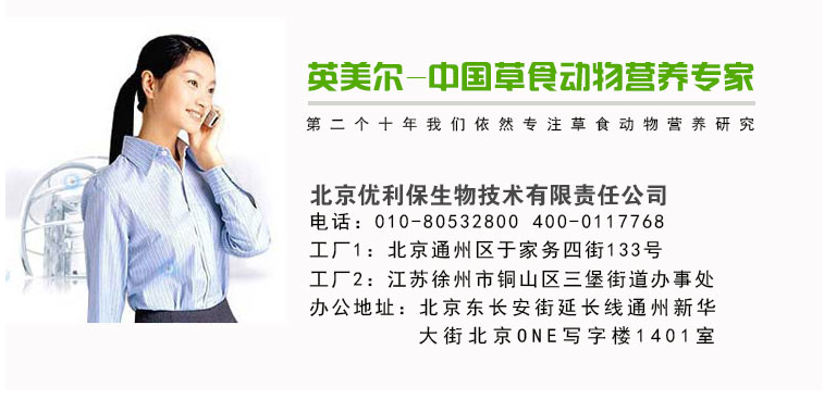 灵寿最新招聘信息全面解析